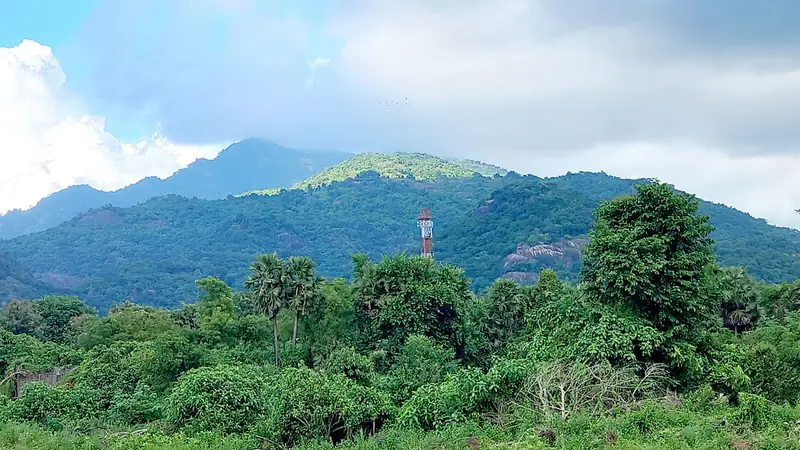 Forested hills of the Araku valley in the Eastern Ghats