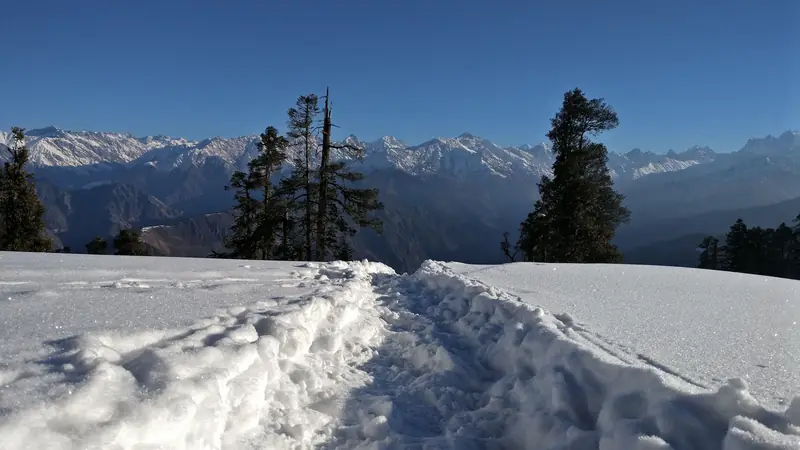 A snow trail through pines on the Kedarkantha ascent, Himalayan peaks behind