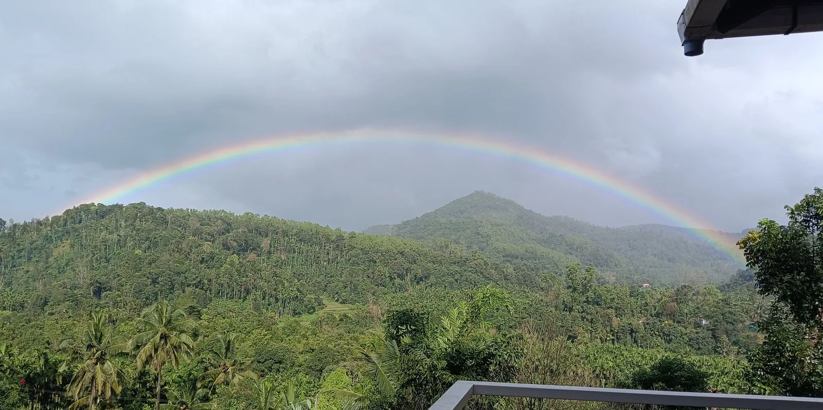 A full rainbow arcing over forested Western Ghats hills, seen from the homestay terrace above areca and coconut palms